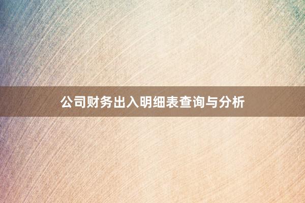 公司财务出入明细表查询与分析