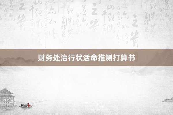 财务处治行状活命推测打算书